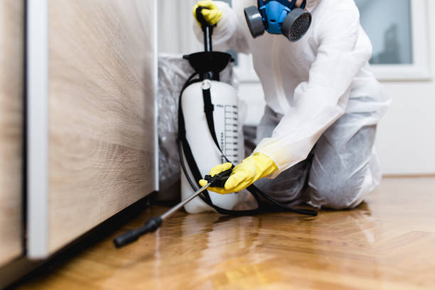 Best Best Pest Control Companies  in Hoffman Estates, IL