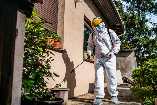 Best Rat Extermination Near Me  in Hoffman Estates, IL