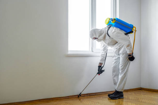Hoffman Estates, IL Pest Control Company