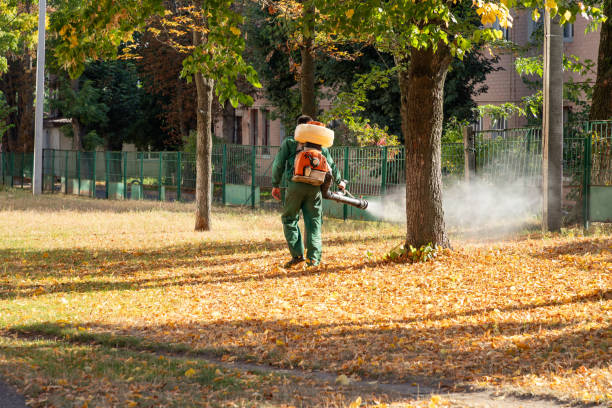 Best Wildlife Control Services  in Hoffman Estates, IL