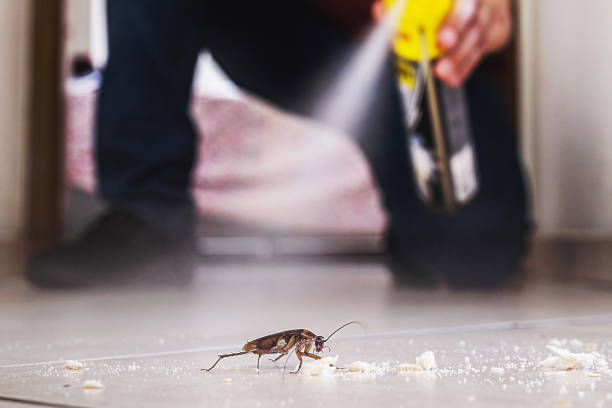 Best Best Pest Control Companies  in Hoffman Estates, IL