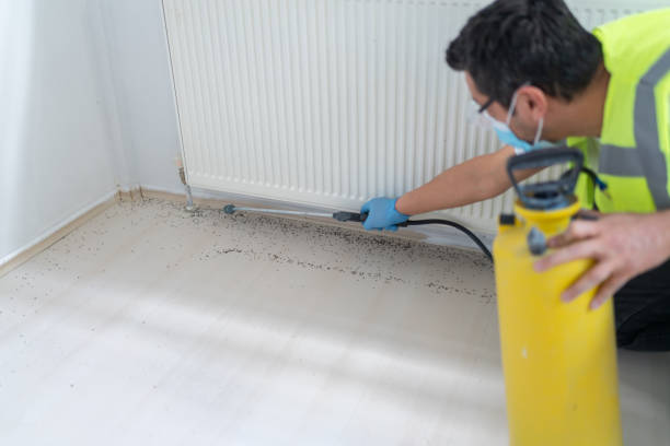 Best Ant Control Services  in Hoffman Estates, IL