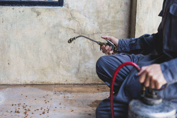Best Pest Inspection Near Me  in Hoffman Estates, IL
