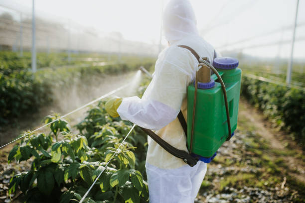 Best Pest Control Near Me  in Hoffman Estates, IL